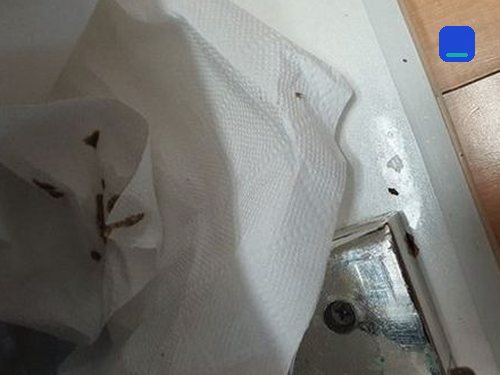 대덕구 · 상담 후 방문 작업 고객 글 사진