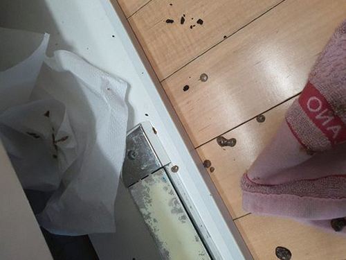 대덕구 하수구막힘 법동 하수구막힘 아파트 싱크대 꾸르륵 소리 점검 항목